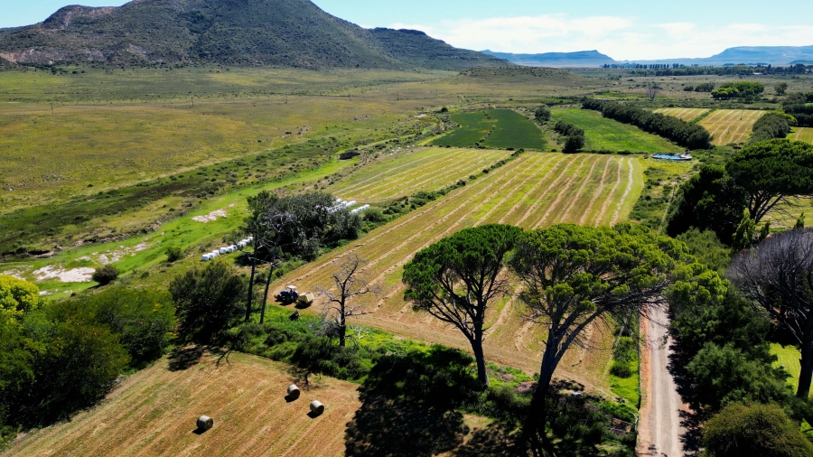 5 Bedroom Property for Sale in Steynsburg Rural Eastern Cape